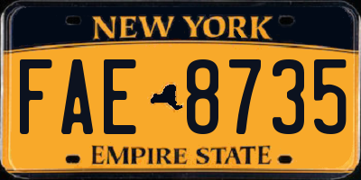 NY license plate FAE8735