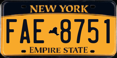 NY license plate FAE8751
