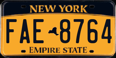 NY license plate FAE8764