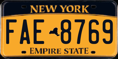 NY license plate FAE8769