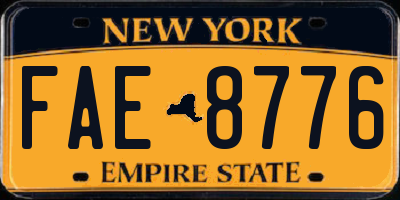NY license plate FAE8776