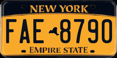 NY license plate FAE8790