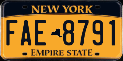 NY license plate FAE8791
