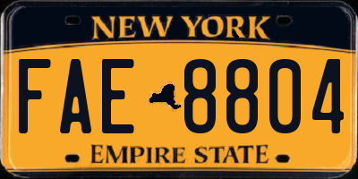 NY license plate FAE8804
