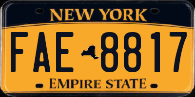 NY license plate FAE8817