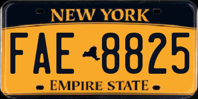 NY license plate FAE8825