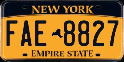 NY license plate FAE8827