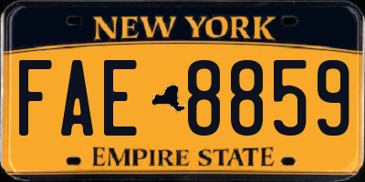 NY license plate FAE8859