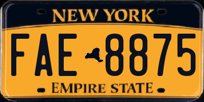 NY license plate FAE8875