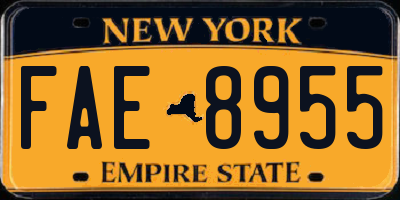NY license plate FAE8955