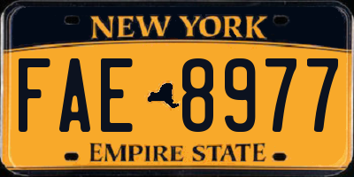 NY license plate FAE8977