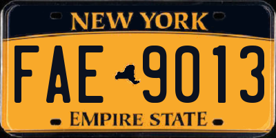 NY license plate FAE9013