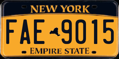 NY license plate FAE9015