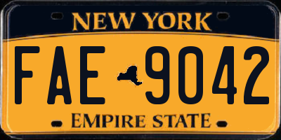 NY license plate FAE9042