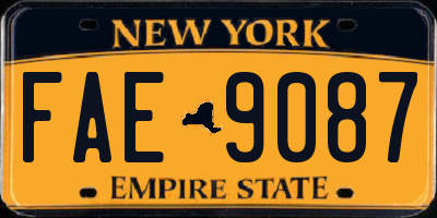 NY license plate FAE9087