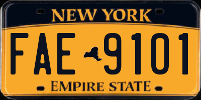 NY license plate FAE9101