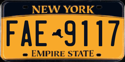 NY license plate FAE9117