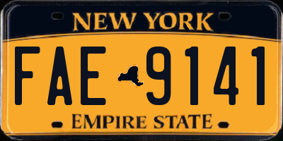 NY license plate FAE9141