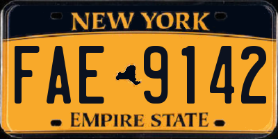 NY license plate FAE9142