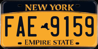 NY license plate FAE9159