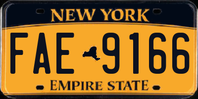 NY license plate FAE9166