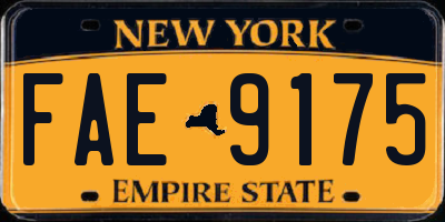 NY license plate FAE9175