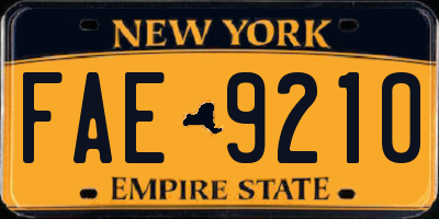 NY license plate FAE9210