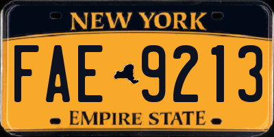 NY license plate FAE9213