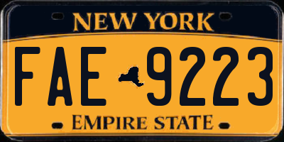 NY license plate FAE9223