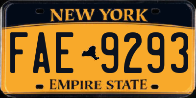 NY license plate FAE9293