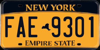 NY license plate FAE9301