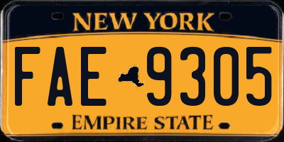 NY license plate FAE9305