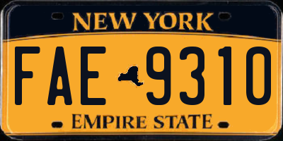 NY license plate FAE9310