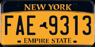 NY license plate FAE9313