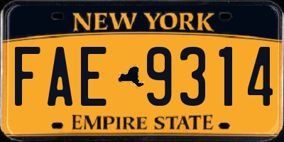 NY license plate FAE9314