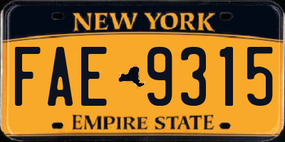 NY license plate FAE9315