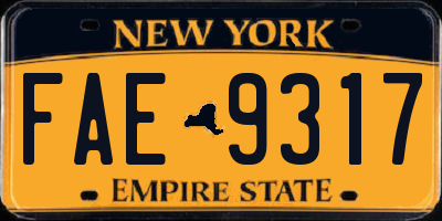 NY license plate FAE9317