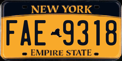 NY license plate FAE9318