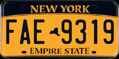 NY license plate FAE9319