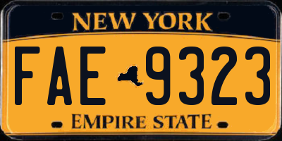 NY license plate FAE9323