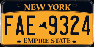 NY license plate FAE9324