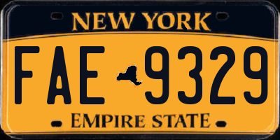 NY license plate FAE9329