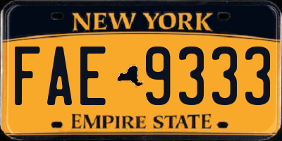 NY license plate FAE9333