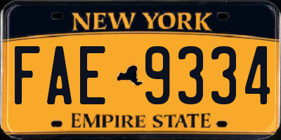 NY license plate FAE9334