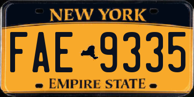 NY license plate FAE9335