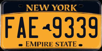 NY license plate FAE9339