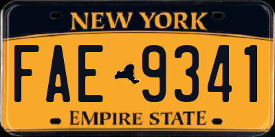 NY license plate FAE9341