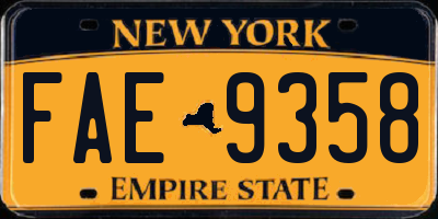 NY license plate FAE9358