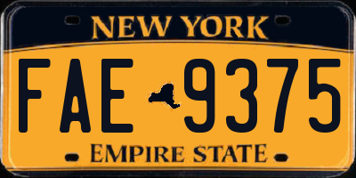 NY license plate FAE9375