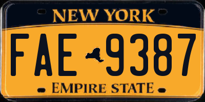 NY license plate FAE9387